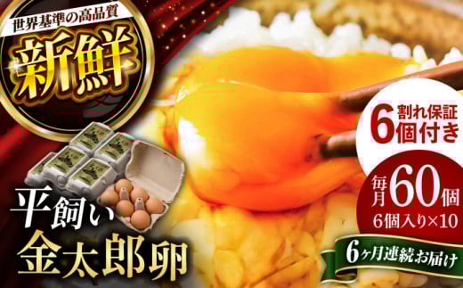 【全6回定期便】【TVで紹介！】鮮度ＡＡ級の世界最高ランク！ 金太郎卵 平飼い 卵 60個（6個入り✕10パック）＜有限会社 フジノ香花園＞那珂川市 卵 金太郎卵 平飼い卵 平飼い 卵 たまご[GAM012]