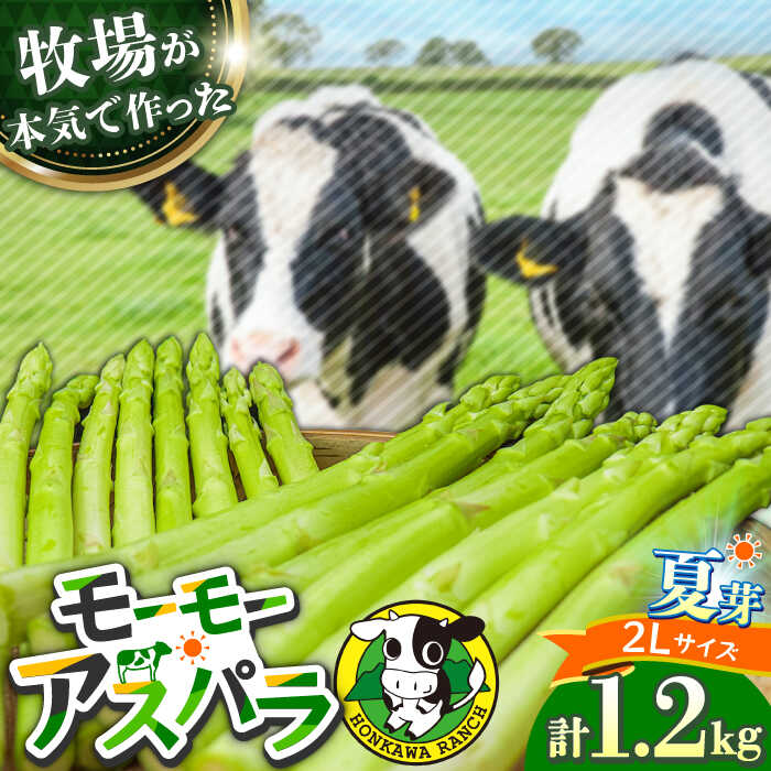 【ふるさと納税】モーモーアスパラ 夏芽 2L 1.2kg 酪農 牧場 こだわり アスパラガス おすすめ 大分県　日田市 / 株式会社本川牧場[ARAI039]