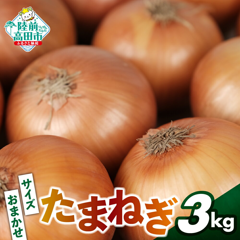 【ふるさと納税】農家直送 たまねぎ 約3kg サイズ混合 S〜2L [ 野菜 玉ねぎ 玉葱 オニオン 料理 グルメ カレー 焼肉 サラダ バーベキュー 3キロ 期間限定 数量限定 国産 送料無料 岩手 陸前高田 軍見洞農園 ]