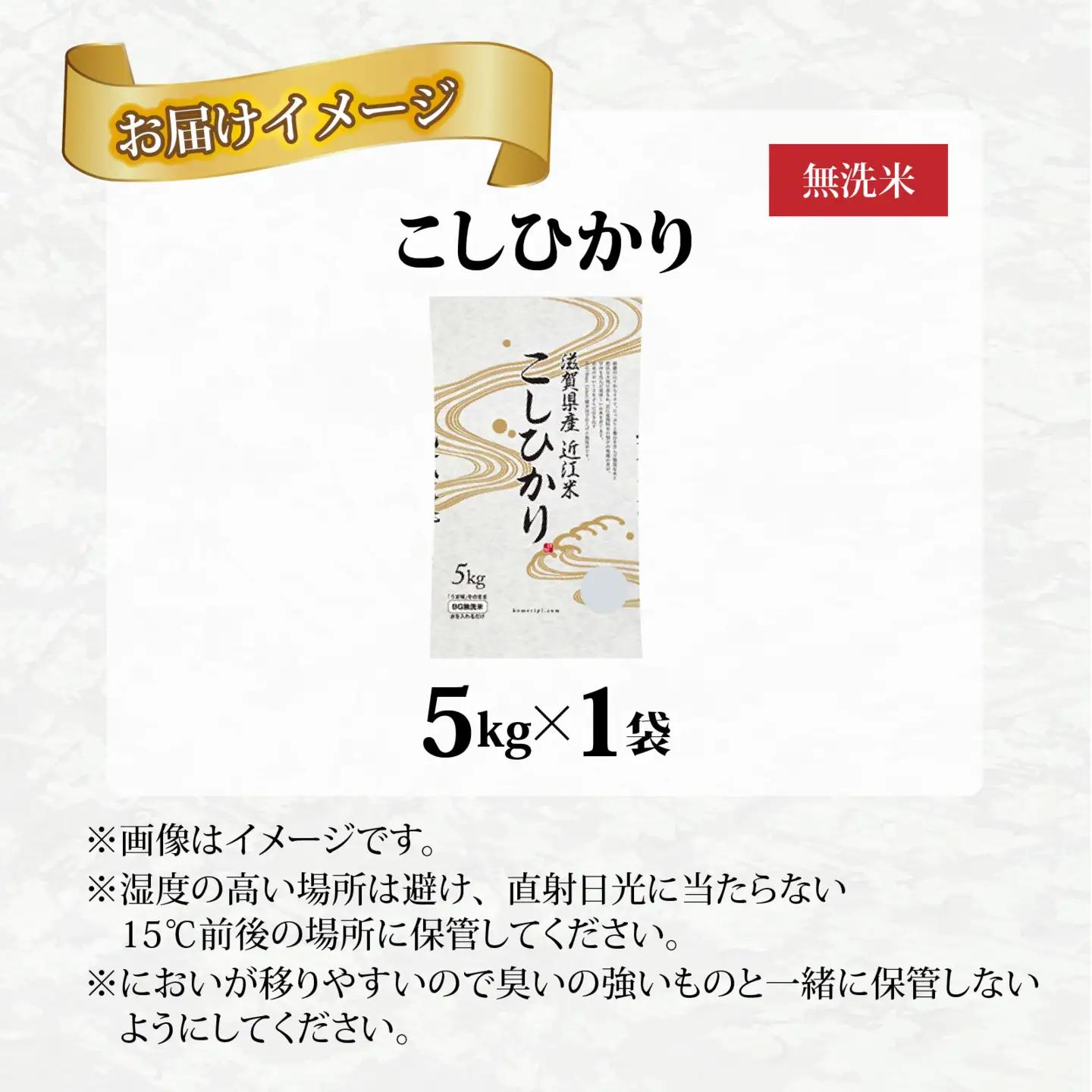 【先行予約】【令和8年産新米早期予約】BG無洗米 こしひかり 5kg [A-00403]   こしひかり