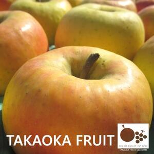 【信州中野の旬をお届け】長野県産ぐんま名月　贈答用　大玉5～6玉入り【高丘フルーツ】【1305052】