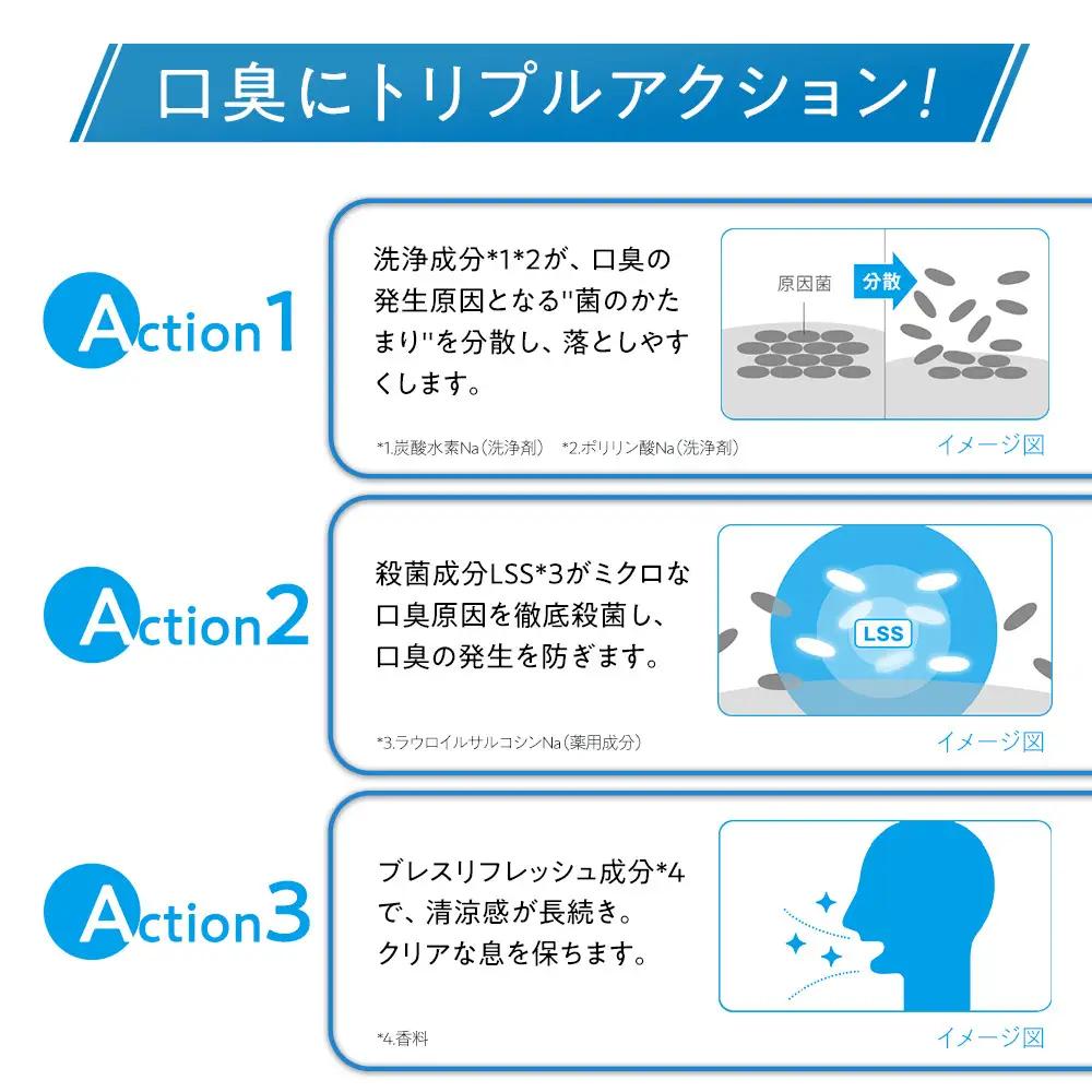 【定期便 毎月 3か月】LION ハミガキセット ｜ 日用品 ふるさと納税 歯磨き粉 歯磨き粉