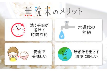 無洗米の定期便12回お届け！米どころ福井の無洗米！無洗米いちほまれ10kg×12回 [e27-m001] 福井県 無洗米 いちほまれ 定期便 12ヶ月連続 米 お米 福井県産無洗米 いちほまれ無洗米 