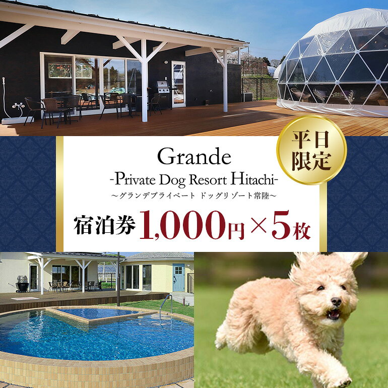 【ふるさと納税】グランデ プライベート ドッグリゾート常陸宿泊券 1,000円×5枚（平日限定） 愛犬 ペットOK ドッグラン プール 温泉 サウナ ホテル チケット 宿泊 旅行 宿泊券 旅行券 72-A