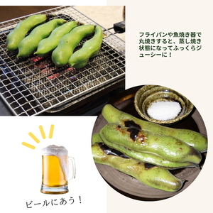 【2024年産 予約】甘～い そら豆 4kg【期間限定】京都府・亀岡産 自然栽培のかたもとオーガニックファームよりお届け ※2024年4月末頃～6月初旬に順次発送予定 ※離島への配送不可