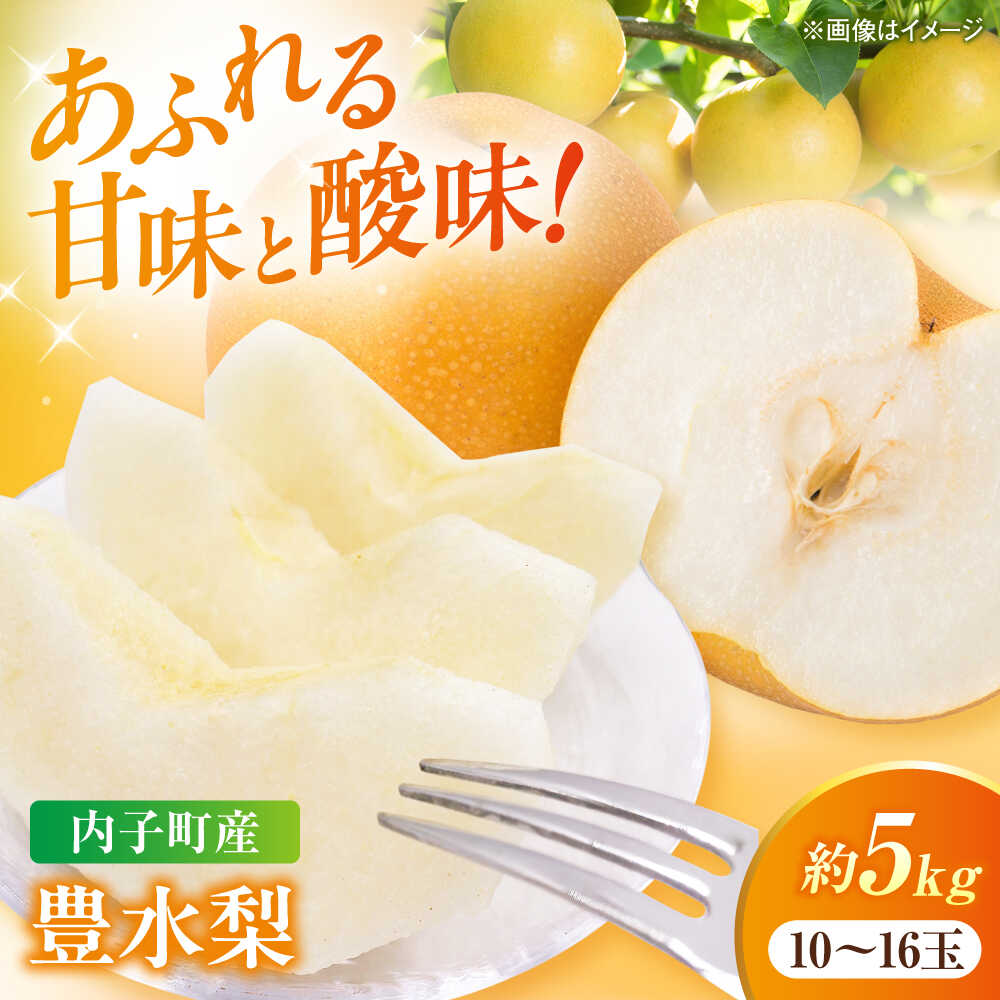【ふるさと納税】【先行予約】豊水梨【10〜16玉】＜2026年8月下旬から発送＞【北海道・沖縄配送不可】 ／ 梨 なし ナシ 豊水ナシ 豊水梨 ほうすいなし 豊水なし 和梨 果物 フルーツ ふるーつ 国産 産地直送 送料無料 【株式会社フジ・アグリフーズ】[BKAY023] 20000 20000円