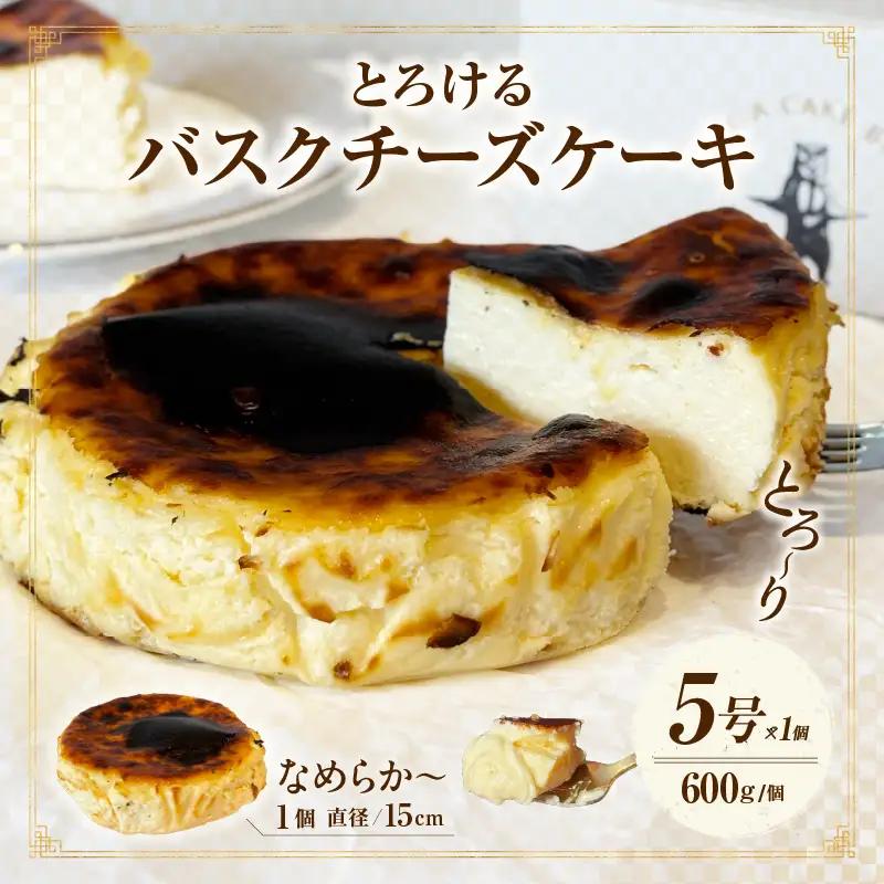 究極のとろけるバスクチーズケーキ・T111-170
