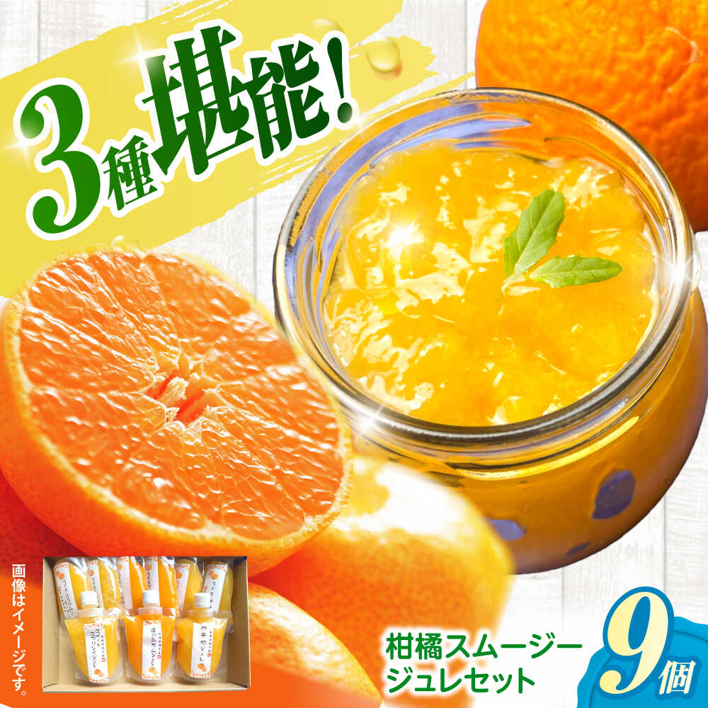 【ふるさと納税】柑橘スムージージュレセット(9個入り) / スムージー ジュレ ゼリー 柑橘 / 諫早市 / 圭昭園 [AHAZ005]