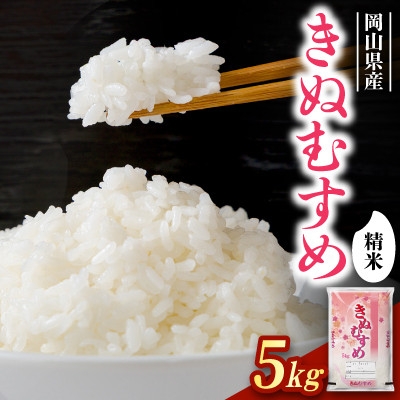 
                  ＜食味鑑定士厳選＞岡山県産 きぬむすめ 5kg×1袋【1715740】
                