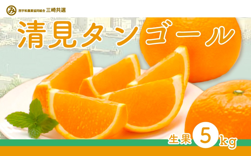 
            【先行予約】清見タンゴール（生果5kg）※離島への配送不可（2026年3月上旬～4月上旬頃に順次発送予定） 【 ふるさと納税 人気 おすすめ ランキング 柑橘 みかん ミカン 清見 清見タンゴール mikan 蜜柑 果物 生果 フルーツ 愛媛県産 愛媛県 伊方町 送料無料 】 IKTBD015
          