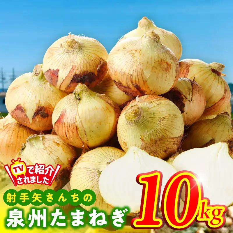 【ふるなび限定】泉州たまねぎ 10kg 玉ねぎ たまねぎ FN-Limited-PR