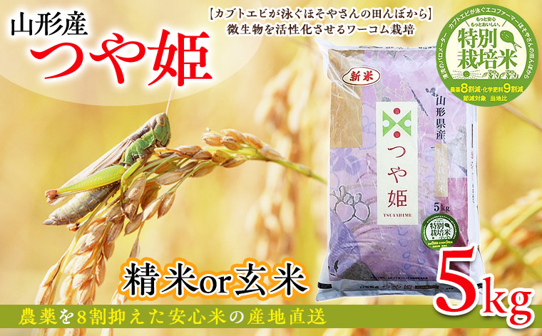 
            令和6年度産 山形産 「つや姫」5kg 特別栽培米 8割減農薬・9割減化学肥料（当地比）【カブトエビが泳ぐほそやさんの田んぼから】微生物を活性化させるワーコム栽培 FY25-096
          