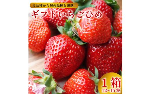 いちご 贈答用 12～15個 いちごひめ 大粒 さがほのか さちのか 紅ほっぺ 果物 フルーツ 苺 ストロベリー  ケーキ アイス タルト ジュース ゼリー ジェラート シャーベット ジャム スムージー 洋菓子 和菓子 フルーツサンド フルーツ大福 いちご大福 プレゼント ギフト 贈答 お取り寄せ グルメ 送料無料 徳島県 阿波市 御所の郷