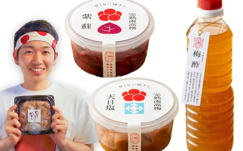 【お試し・無添加梅干し】梅干し（天日塩漬け、紫蘇漬け 各280g×1パック）、白梅酢1本セット ／ 南高梅　【umehkr008A】