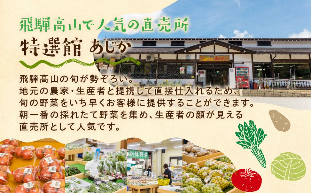 飛騨 野菜セット 6〜7点  飛騨高山産 野菜  秋野菜 おまかせ お取り寄せ 新鮮 産地直送 飛騨産 夏  秋 秋野菜  サラダ     あじか TR3076