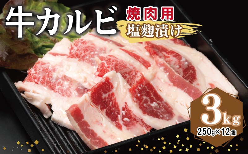 099H3395 牛カルビ 焼肉用 塩麹漬け 合計3kg【味付け 小分け 焼くだけ 簡単調理 BBQ 牛肉 250g×12袋】