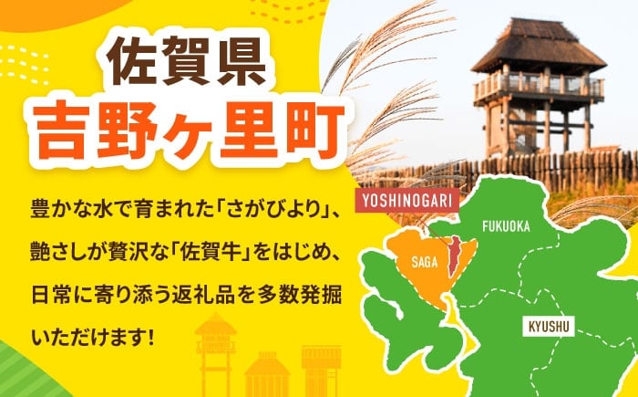佐賀県産 黒毛和牛 佐賀牛 ヒレステーキ 750g A4 A5 5人前 黒毛和牛 国産 ステーキ ヒレステーキ ヒレ肉