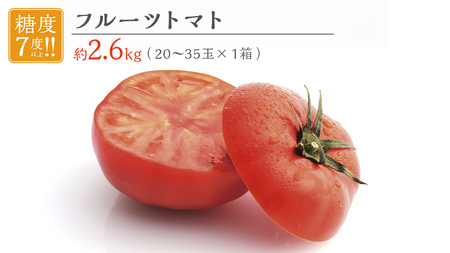 フルーツトマト 大箱 約2.6kg × 1箱 【大玉 20?35玉/1箱】 2026年産 糖度7度 以上 野菜 フルーツ トマト とまと [AF072ci]
