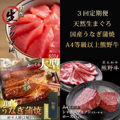ふるさと納税 那智勝浦町 【毎月定期便】紀州和歌山うまいもんセットA(生まぐろ・うなぎ蒲焼・熊野牛)全3回