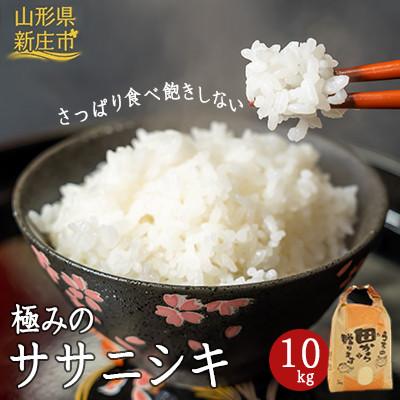 ふるさと納税 新庄市 新米　令和8年産　極みのササニシキ(精米)10kg (1袋)