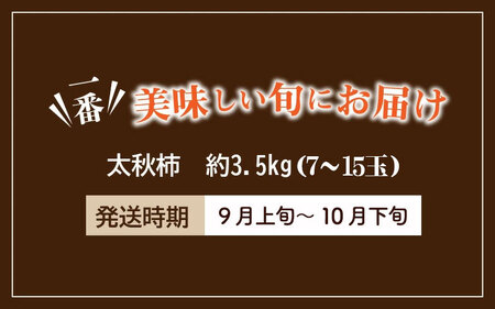 【先行予約】新食感甘柿 「太秋柿（たいしゅうがき）」 約3.5kg フルーツ ふるーつ 果物 くだもの 三豊市【配送不可地域：北海道・沖縄県・離島】_M02-0022  柿 かき カキ