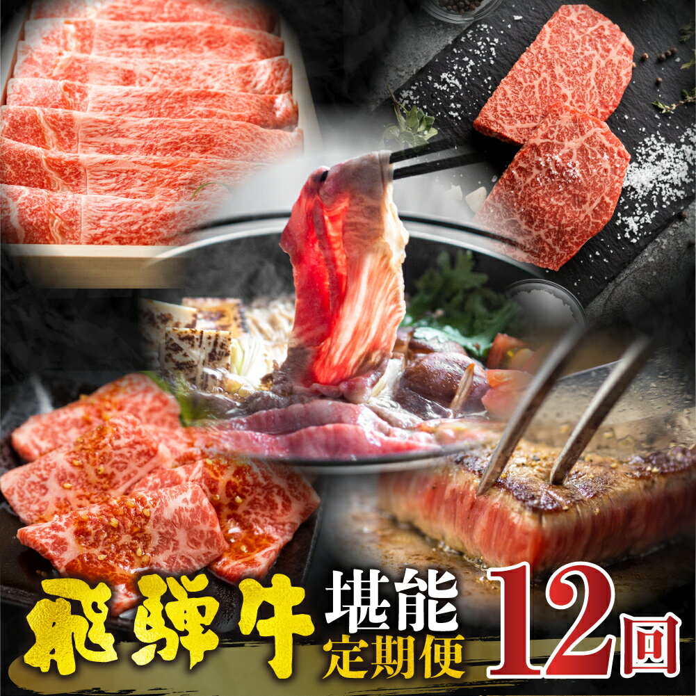 【ふるさと納税】飛騨牛堪能 12回 定期便 飛騨牛 和牛 国産牛 黒毛和牛 12ヶ月 1年 年間 毎月 すき焼き すきやき スキヤキ しゃぶしゃぶ ステーキ 切落し 切り落とし 焼肉 やきにく 赤身 霜降り 食べ比べ a4 a5 [Q2206x] 400000円 40万円