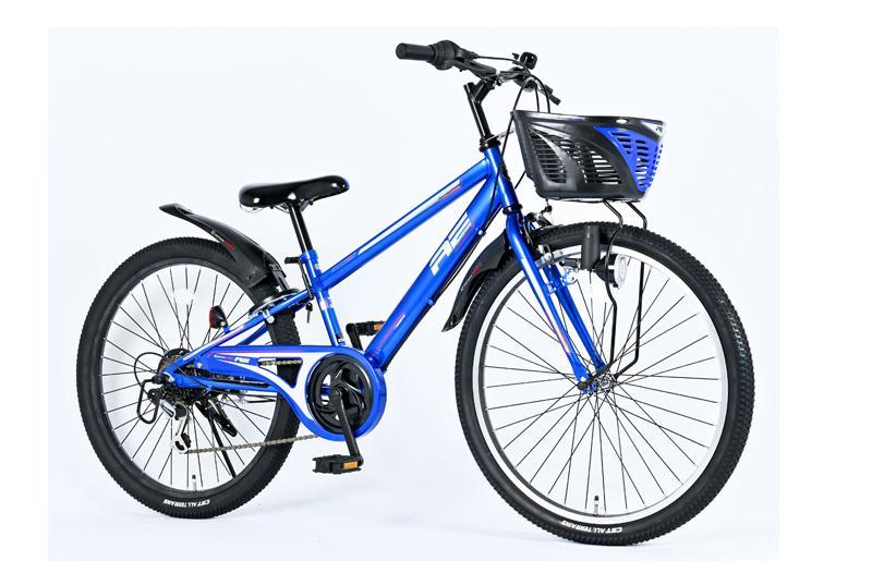 AMERICAN EAGLE ジュニアマウンテン24 ブルー【自転車 完成品 組み立て不要 アウトドア サイクリング じてんしゃ 通勤 通学 新生活】 099X220