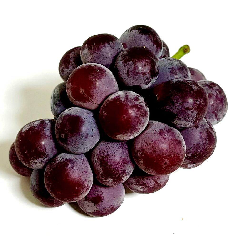 【ふるさと納税】先行予約 岡山県産 ニューピオーネ 計約1kg（約500g×2房） / 計約2kg（3～6房）＜選べる内容量＞ ぶどう ブドウ 葡萄 種なし フルーツ くだもの 果物 果実 デザート 冷蔵 国産 岡山県 倉敷市 送料無料 【2026年8月下旬～10月下旬まで順次発送予定】