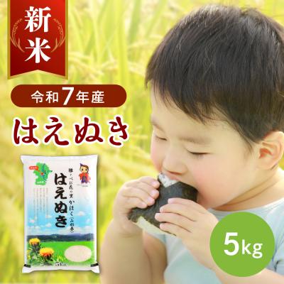 ふるさと納税 河北町 【令和7年産米】2025年10月中旬発送 はえぬき5kg 山形県産 【JAさがえ西村山】