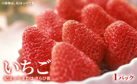 【2026年2月発送】 旬のフルーツ詰合せ いちご＆不知火 紅ほっぺまたはきらぴ香 約260g1パック 不知火4個約800g しらぬい デコ 苺 ミカン 【配送不可：離島】 フルーツセット 静岡 浜松