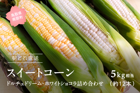 南部町産 朝採れスイートコーン5kg箱 食べくらべセット（バイカラー種・ホワイト種）2026年収穫分＜数量限定＞【先行予約】