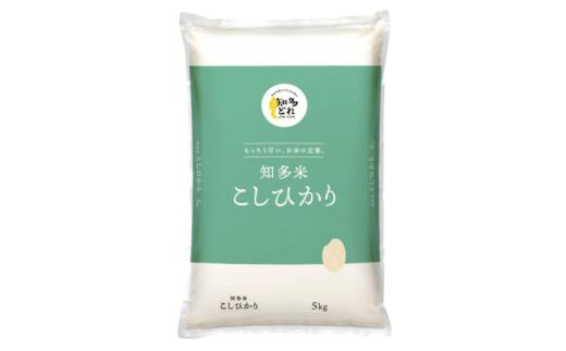 知多米こしひかり5kg■