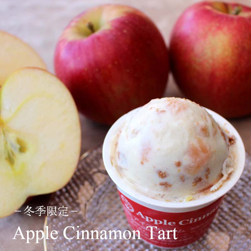 アイス Hilo Homemade Ice Cream プレミアムアイスクリーム 12個 セット スイーツ おやつ デザート 手作り ギフト 贈答 お取り寄せ 冷凍 神奈川 藤沢