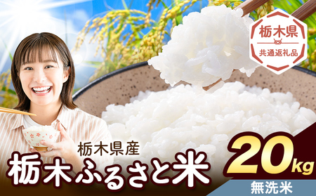 無洗米 20kg 便利な栃木ふるさと米 《7-14日以内に出荷予定(土日祝除く)》おこめ【栃木県共通返礼品】