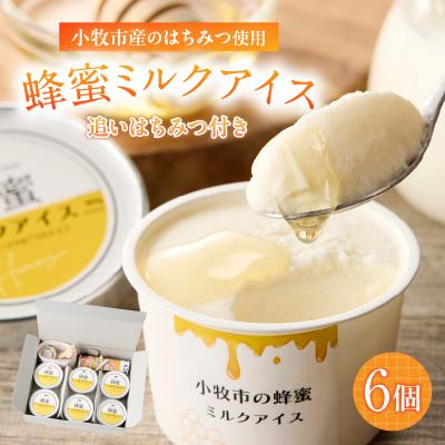 ふるさと納税 小牧市 小牧市産のはちみつたっぷりミルクアイス・追いはちみつ付き 6個 [219H10]
