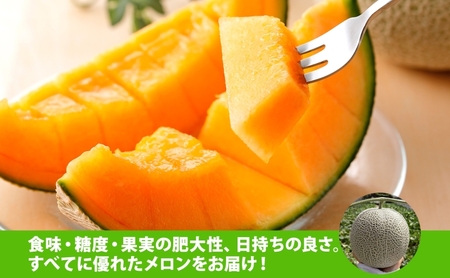 【 のざわ農園 】日高 赤肉メロン 4～6玉（約8kg～9kg）北海道 日高産