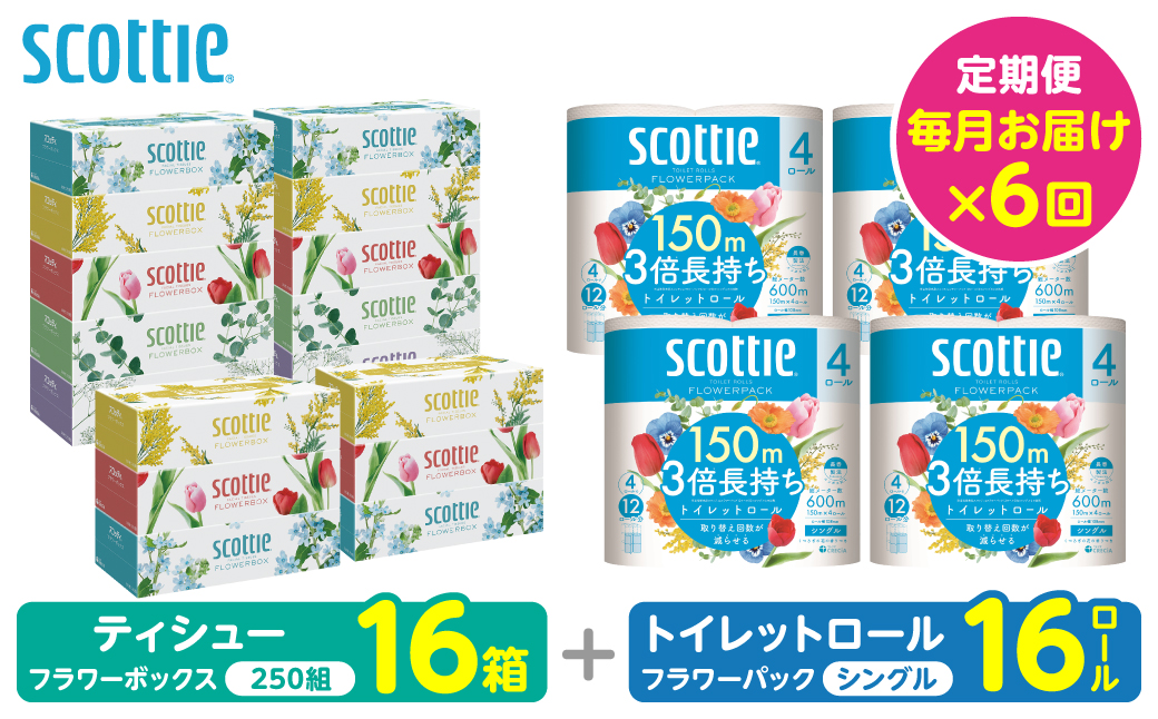 【定期便6回】【毎月お届け】【スコッティ】 組み合わせ ティシュー フラワーボックス 250組 16箱 計96箱 トイレットロール シングル フラワーパック 3倍長持ち 16ロール 計96ロール ティッシュ トイレットペーパー 日用品 ストック 防災備蓄 ストック 備蓄 新生活 防災 消耗品 生活用品 日用消耗品 箱ティッシュ