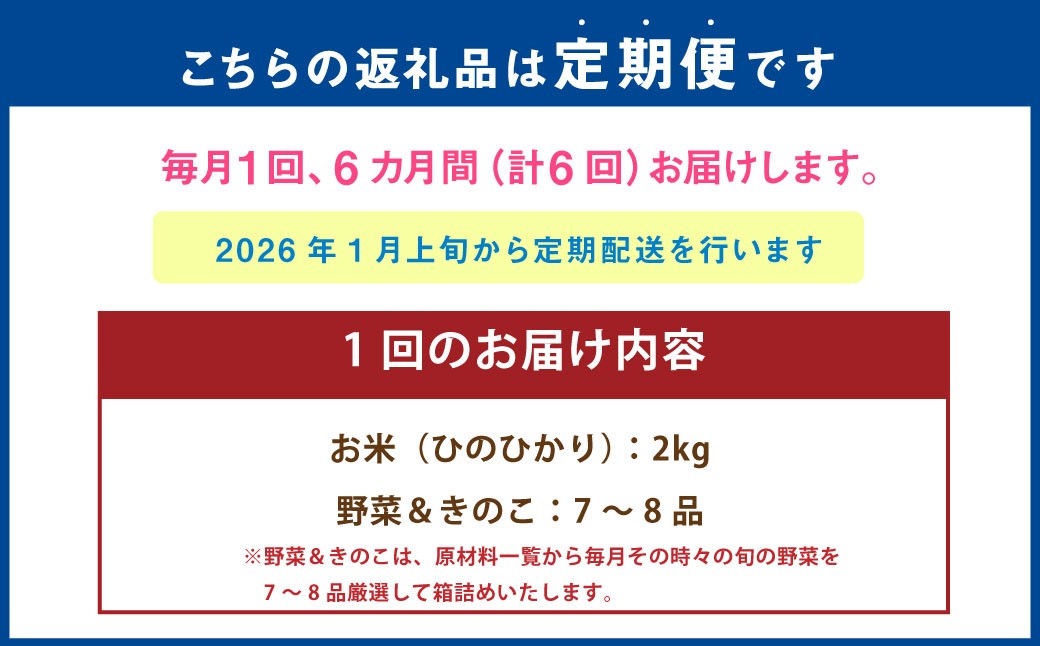 【6ヶ月連続定期便】 【令和7年度産】 熊本県（七城）産のお米と熊本県産の野菜ときのこ お米（2kg）・野菜＆きのこ（7～8品）