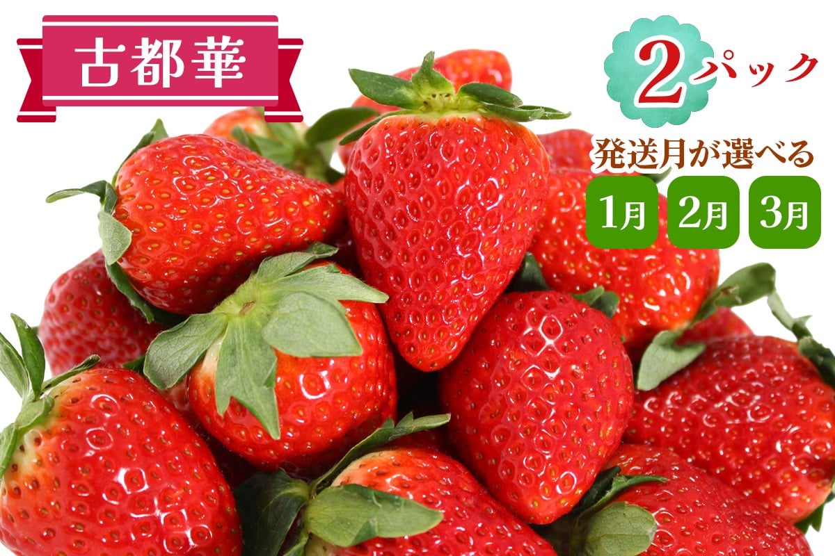 
                  古都華 2パックセット 発送月が選べる [1月／2月／3月]｜ことか いちご 苺 イチゴ 果物 フルーツ 産地直送 [3229-3232]
                