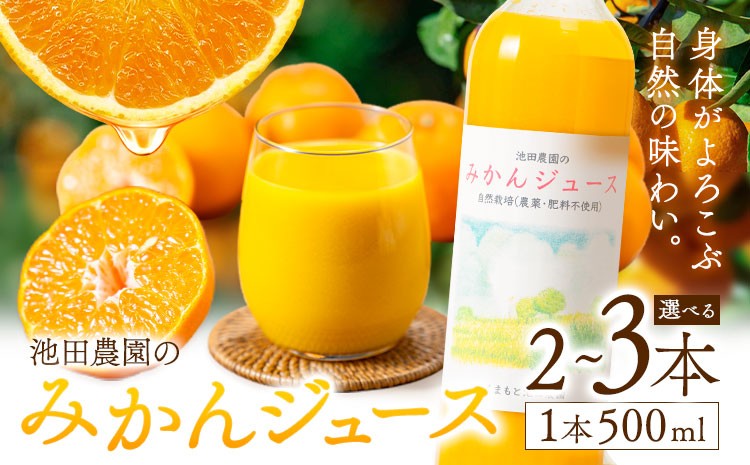 
                  池田農園のみかんジュース 選べる 2本 3本 1本500ml 池田農園《30日以内に出荷予定(土日祝除く)》熊本県 玉名郡 玉東町 みかんジュース みかん ミカン ジュース 自然栽培 栽培期間中農薬・肥料不使用
                