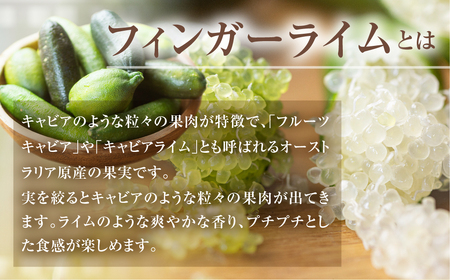 先行予約 フィンガーライムアソート 果実 100g 詰め合せ 品種お任せ フィンガーライム FINGER LIME JAPAN公認 キャビアライム フルーツキャビア 森のキャビア 柑橘 愛知県 田原市