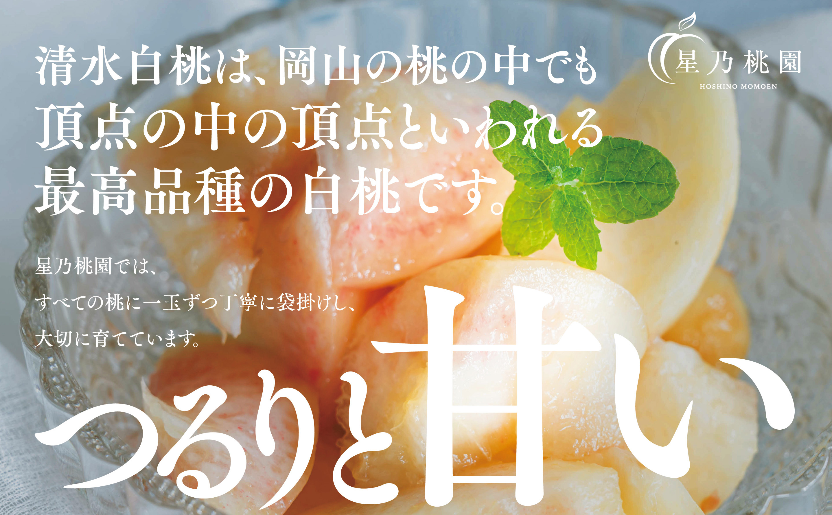 【清水白桃】岡山県産 三つ星 星乃桃園 780g (3玉)【配送不可地域：離島・北海道・沖縄県】