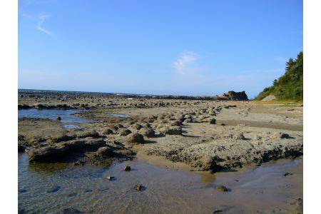 浜田市観光タクシー3時間コース（ジャンボタクシー：上限9名） 貸切 フリー 利用券 チケット 旅行 島根県 便利 観光 ドライブ 乗車券 移動 プレゼント 【158_1924】