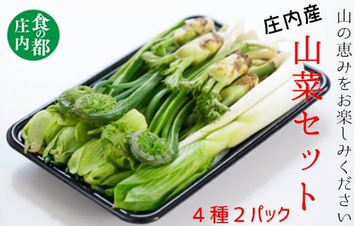 
            食の都庄内　庄内産季節の山菜セット（4種2パック）　※令和8年1月中旬～5月上旬頃まで配送
          