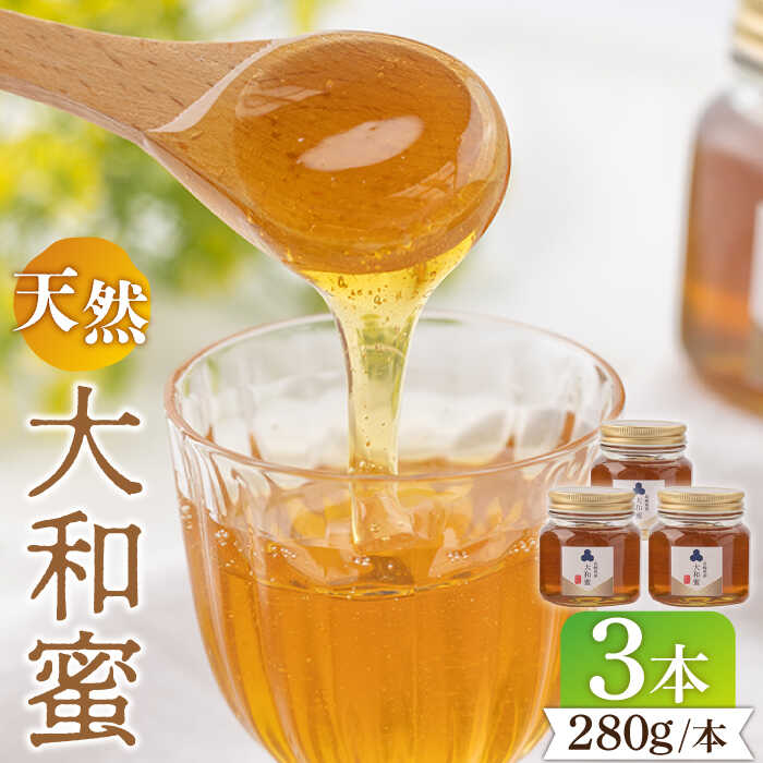 【ふるさと納税】【長崎県産】（天然はちみつ）280g×3本 長与町/蜜ロマン養蜂園 [ECE005] 百花蜜 国産 純粋 天然 蜂蜜 日本みつばち 大和蜂蜜 はちみつ ハチミツ 純粋蜂蜜 日本蜜蜂 瓶 天然 長崎県産 ご当地 人気 送料無料 お取り寄せ 長崎 おすすめ 常温 栄養 アレンジ