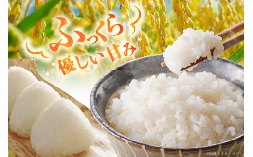 米 令和8年産 新米 ゆきさやか 5kg 6回 定期便 総計 30kg [笹田ファーム 北海道 剣淵町 14656465] お米 おこめ こめ コメ 定期配送 ご飯 ごはん 白米 精米 令和8年