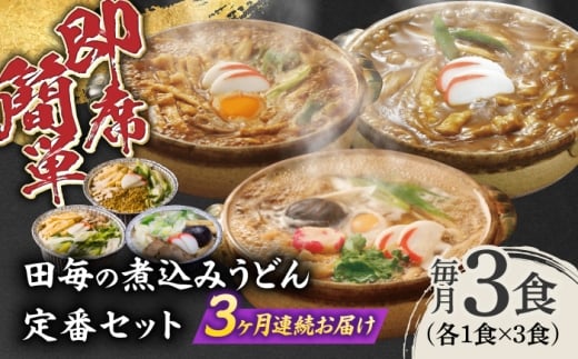 【3回定期便】うどん 岐阜の味 田毎の煮込みうどん定番セット 即席 カンタン 麺 うどん カレーうどん 味噌煮込みうどん すまし煮込みうどん 冷凍 定期便 3種類 詰め合わせ 食べ比べ 簡単調理 時短 鍋不要 水不要 老舗の味 名店 グルメ お取り寄せ サブスク ギフト プレゼント 贈り物 贈答 お返し 内祝い お祝い おすすめ 人気 岐阜市 / ラボレムス [ANFP010]