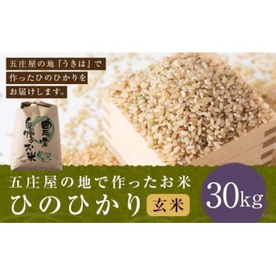 ふるさと納税 うきは市 五庄屋の地で作ったお米 ひのひかり 玄米30kg U160-1RC-BW02-30