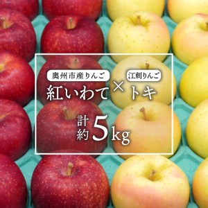 数量限定 奥州市産りんご（紅いわて）と江刺りんご（トキ）のセット 5kg（14～20玉） 【10月中旬以降お届け】 離島配送不可 [AQ025]