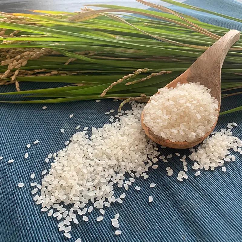 とちぎの星 お米 10kg 米 こめ 食品 農家 贈答 贈り物 ギフト プレゼント 家庭 自宅 栃木県 足利市 F7Z-2502